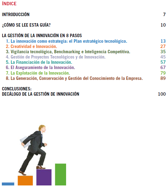 NODENS Servicios Informáticos: Gestión de la innovación