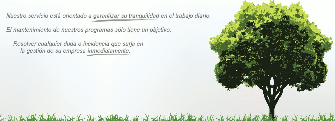 NODENS Servicios Informáticos: Nuestro servicio está orientado a garantizar su tranquilidad en el trabajo diario. El mantenimiento de nuestros programas sólo tiene un objetivo: resolver cualquier duda o incidencia que surja en la gestión de su empresa inmediatamente.