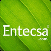 Entecsa